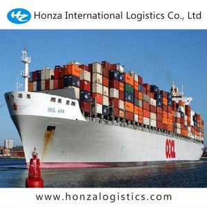 ocean freight logistics